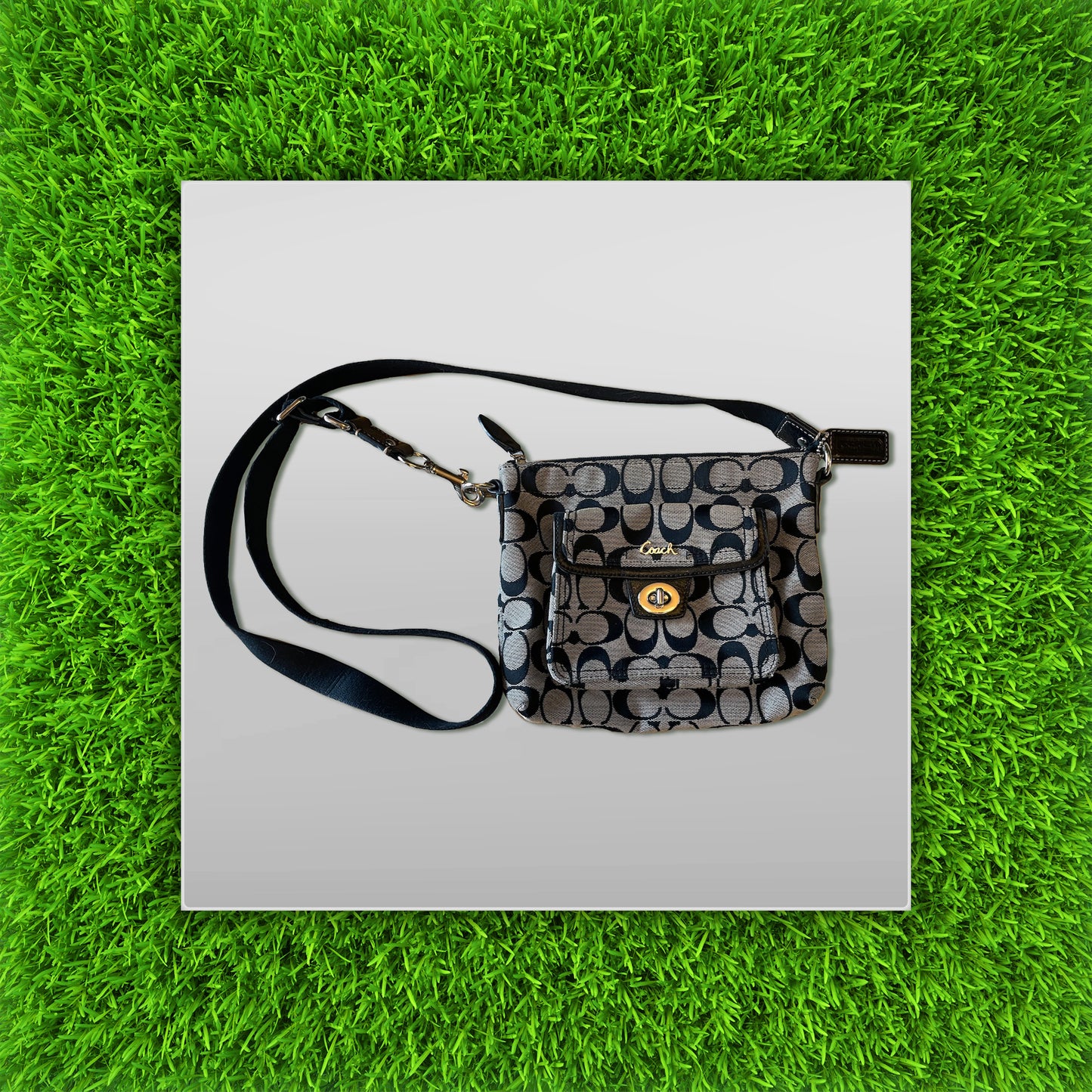 Coach Signature Pocket Crossbody Bag