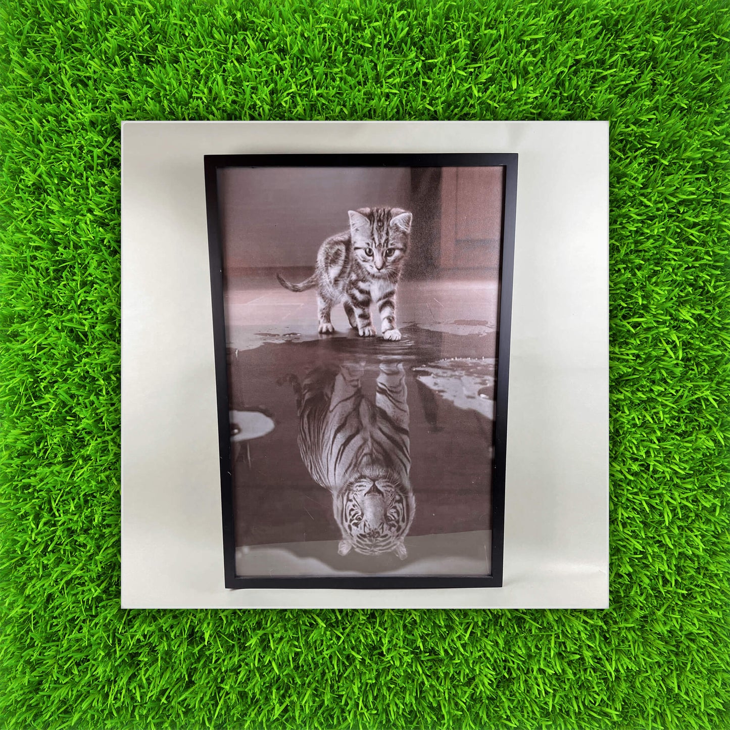 Poster-Kitten's Reflection - PICK UP ONLY