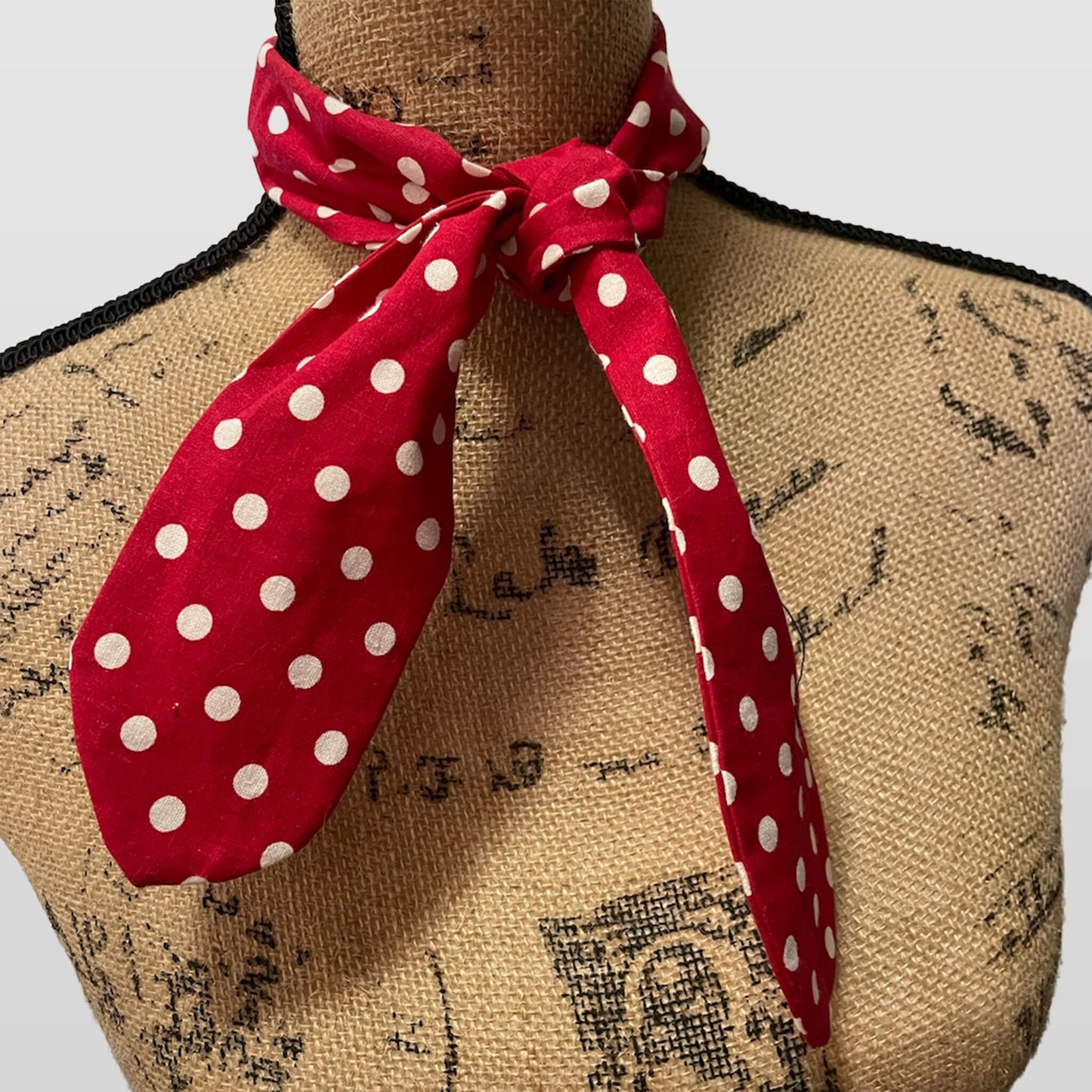 Mary Poppins Costume - PICK UP ONLY