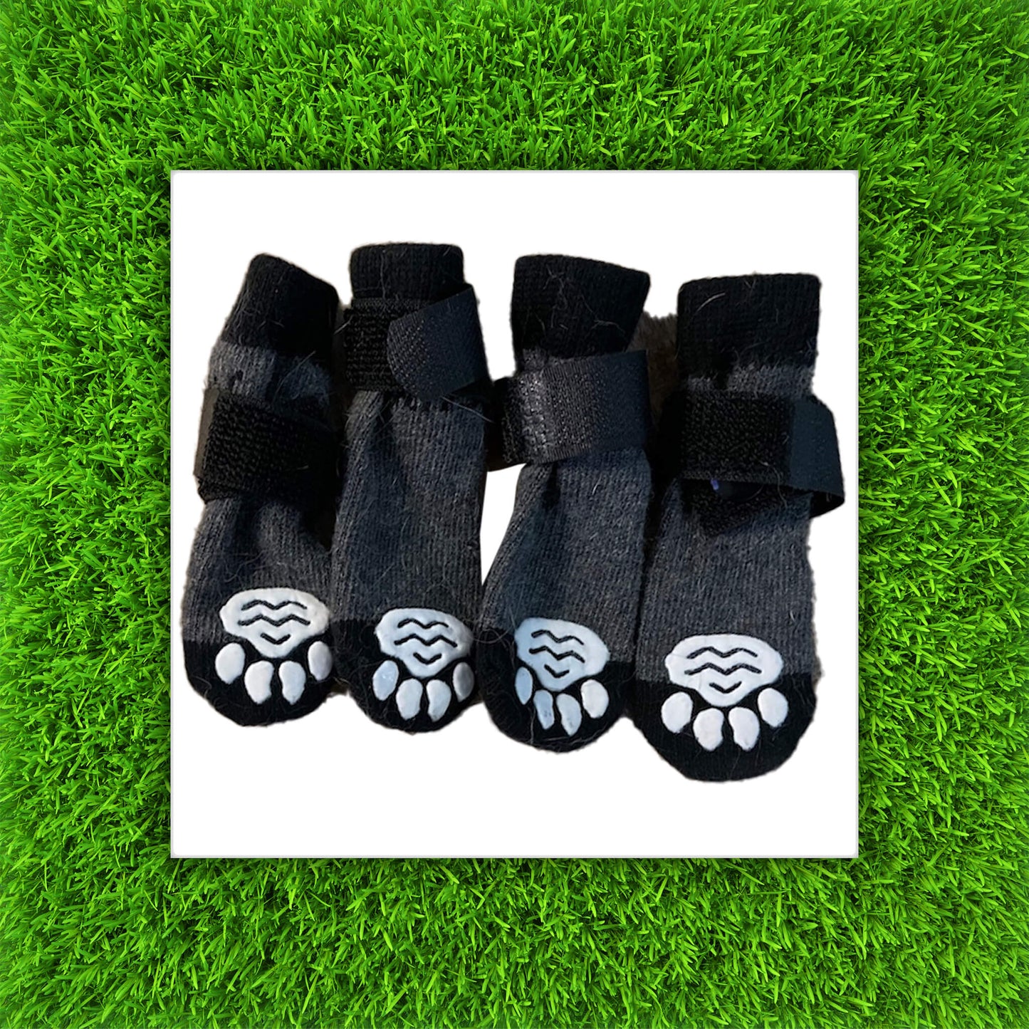 Dog/Cat Socks