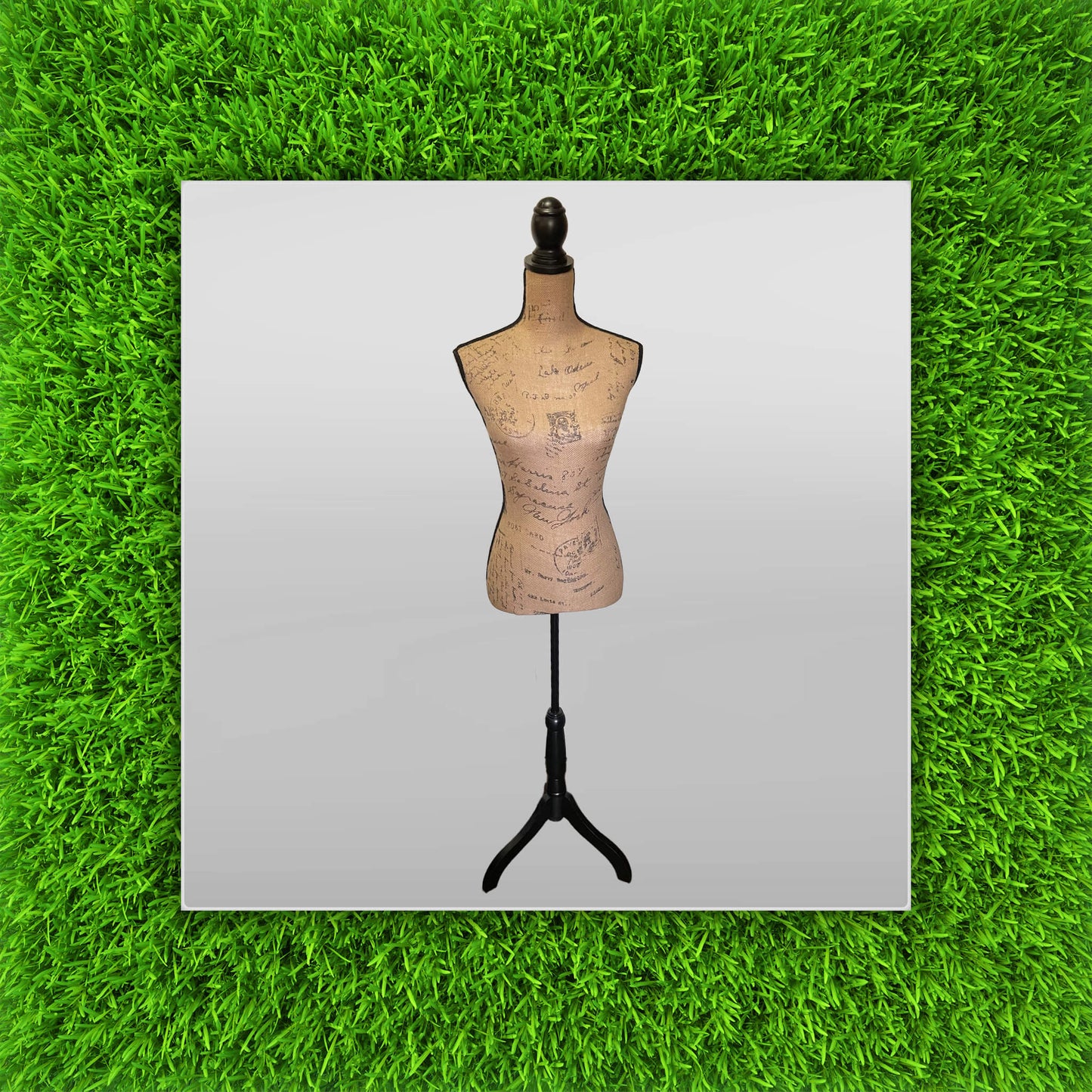 Female Torso Dress Form Mannequin - PICK UP ONLY